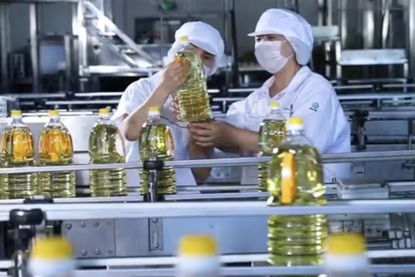 c7c7娱乐平台官网入口(中国集团)官方网站