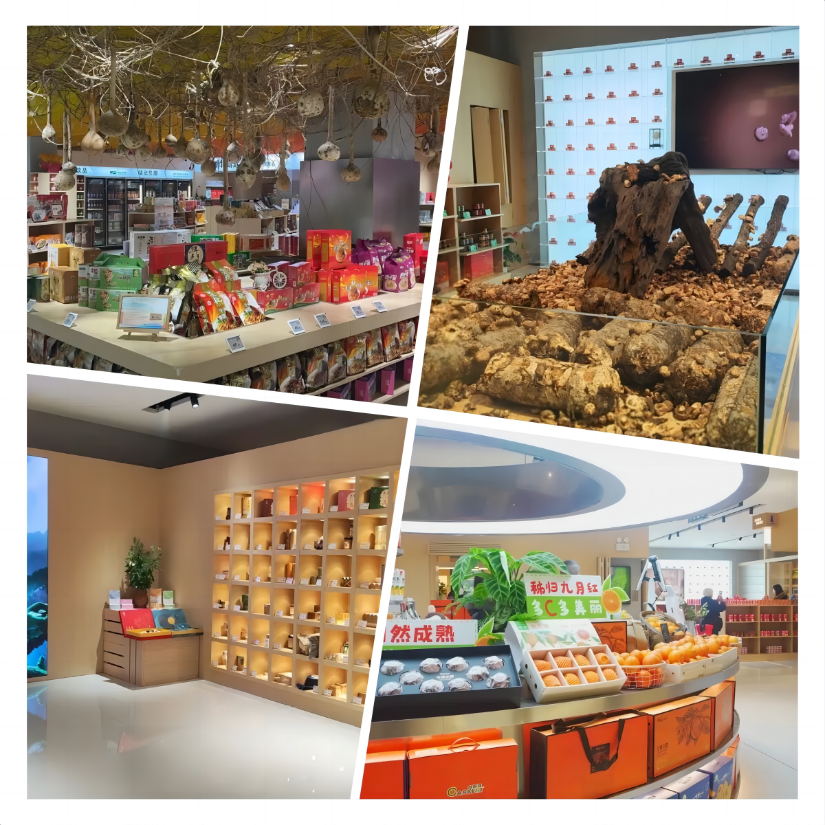 c7c7娱乐平台官网入口(中国集团)官方网站